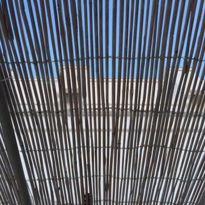 905936 952800338126566 4251514191185431796 O